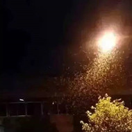 白蟻危害大，4-6月份進入其活躍期 防治白蟻不容忽視！